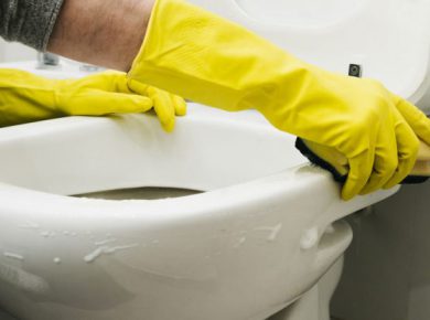 ���������� � ������ �������